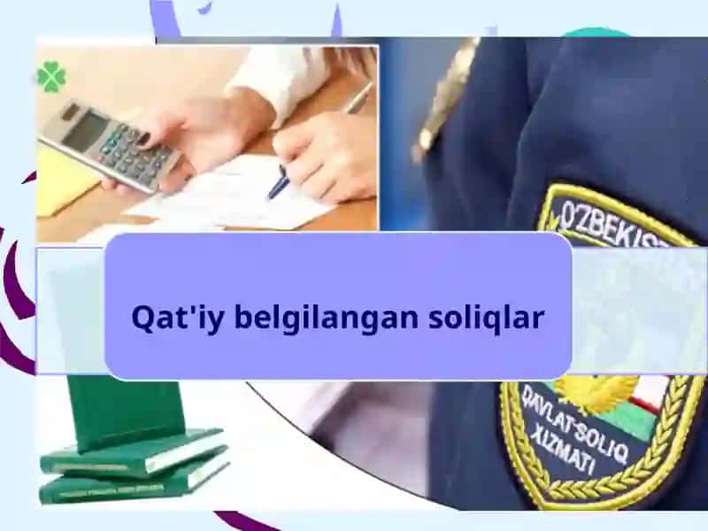 soliq hisobchiqaruvchi faoliyat 2