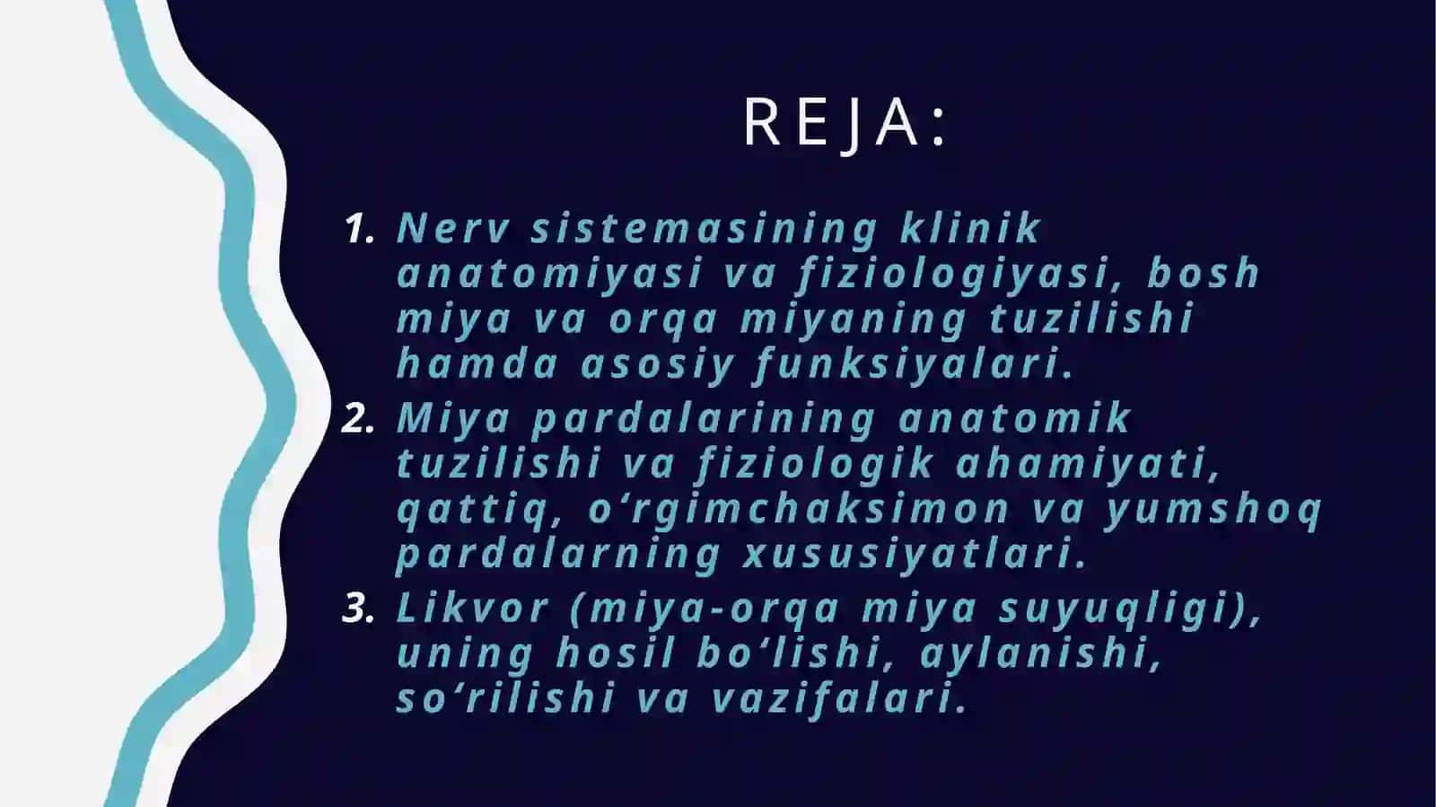 Nervsistemasining klinika anatomiyasi va fiziologiyasi 2
