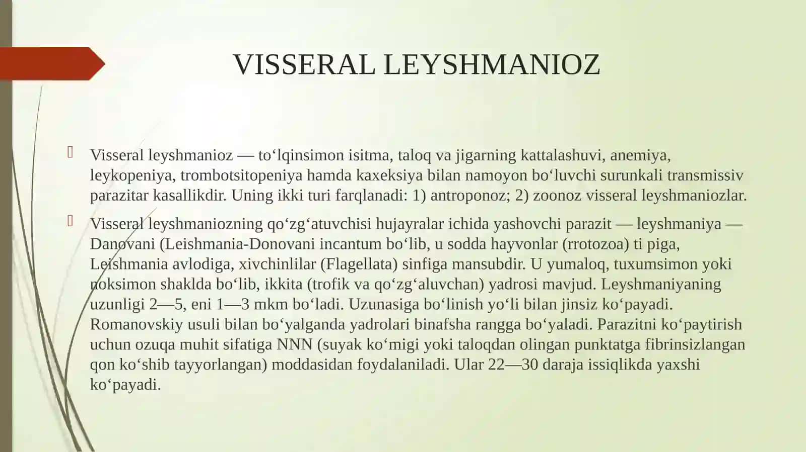 Visseral leyshmanioz 2