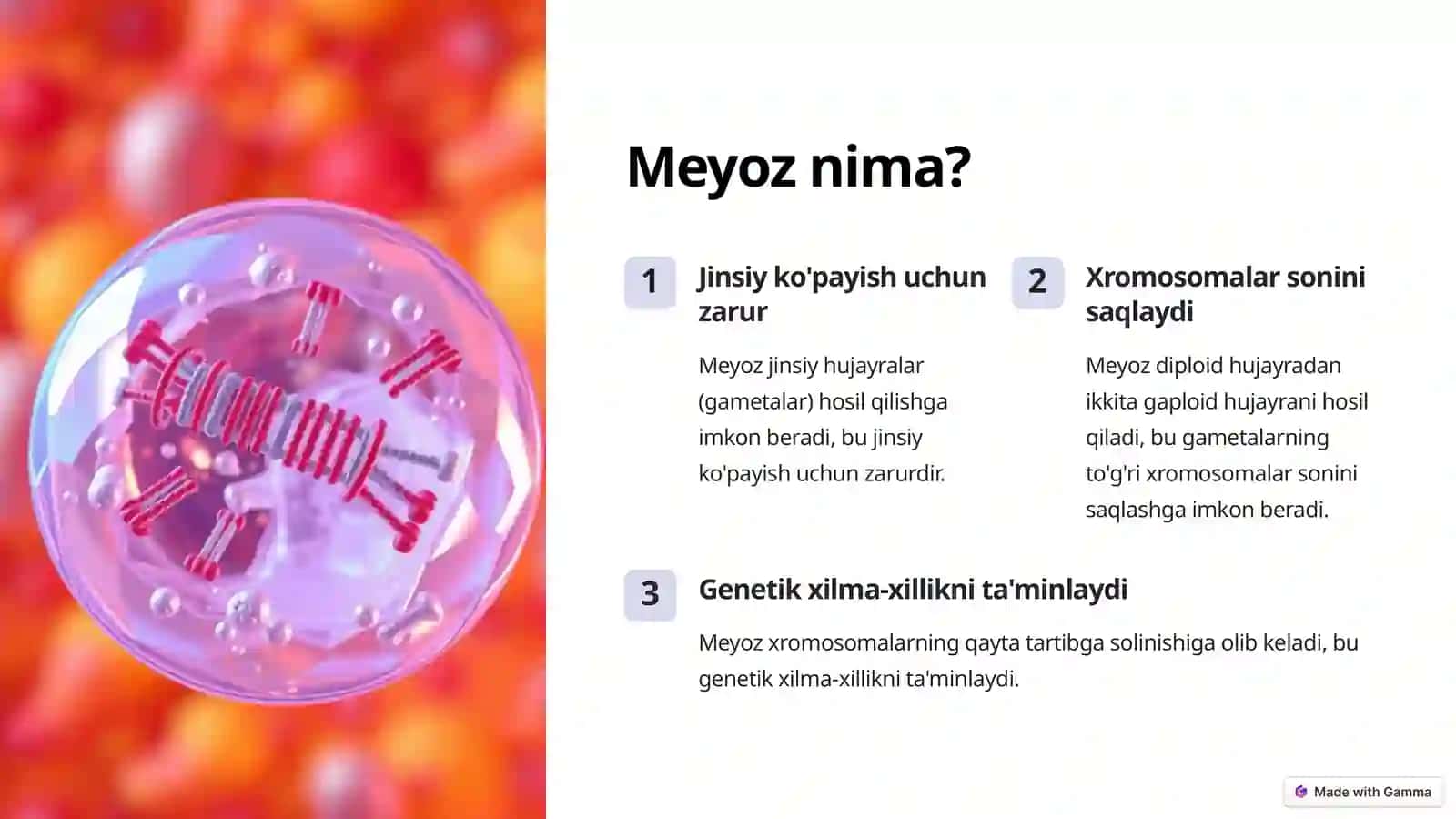 Hujayraning Meyotik Sikli 2