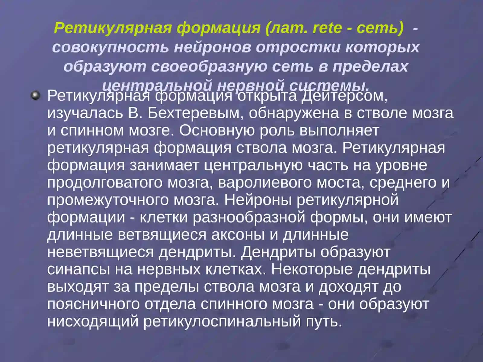 Ретикулярная формация, Лимбическая система, Лимбико-ретикулярный комплекс 2