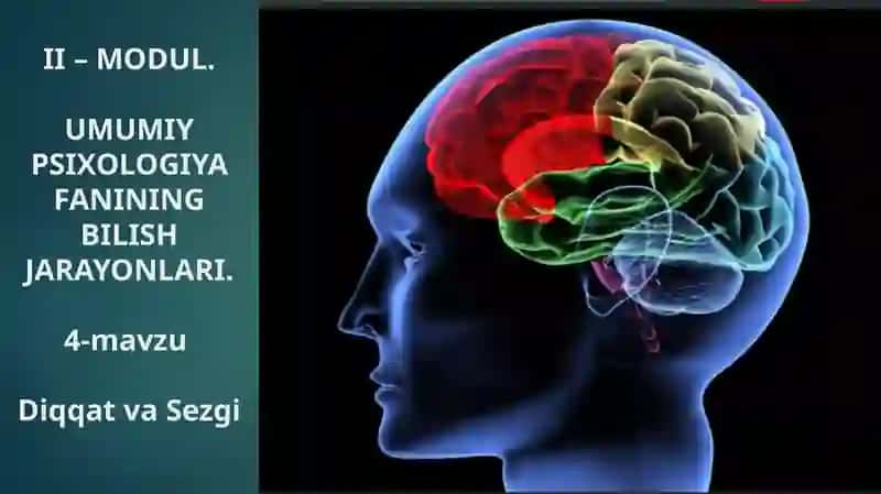 II – MODUL.UMUMIY PSIXOLOGIYA FANINING BILISH JARAYONLARI 2