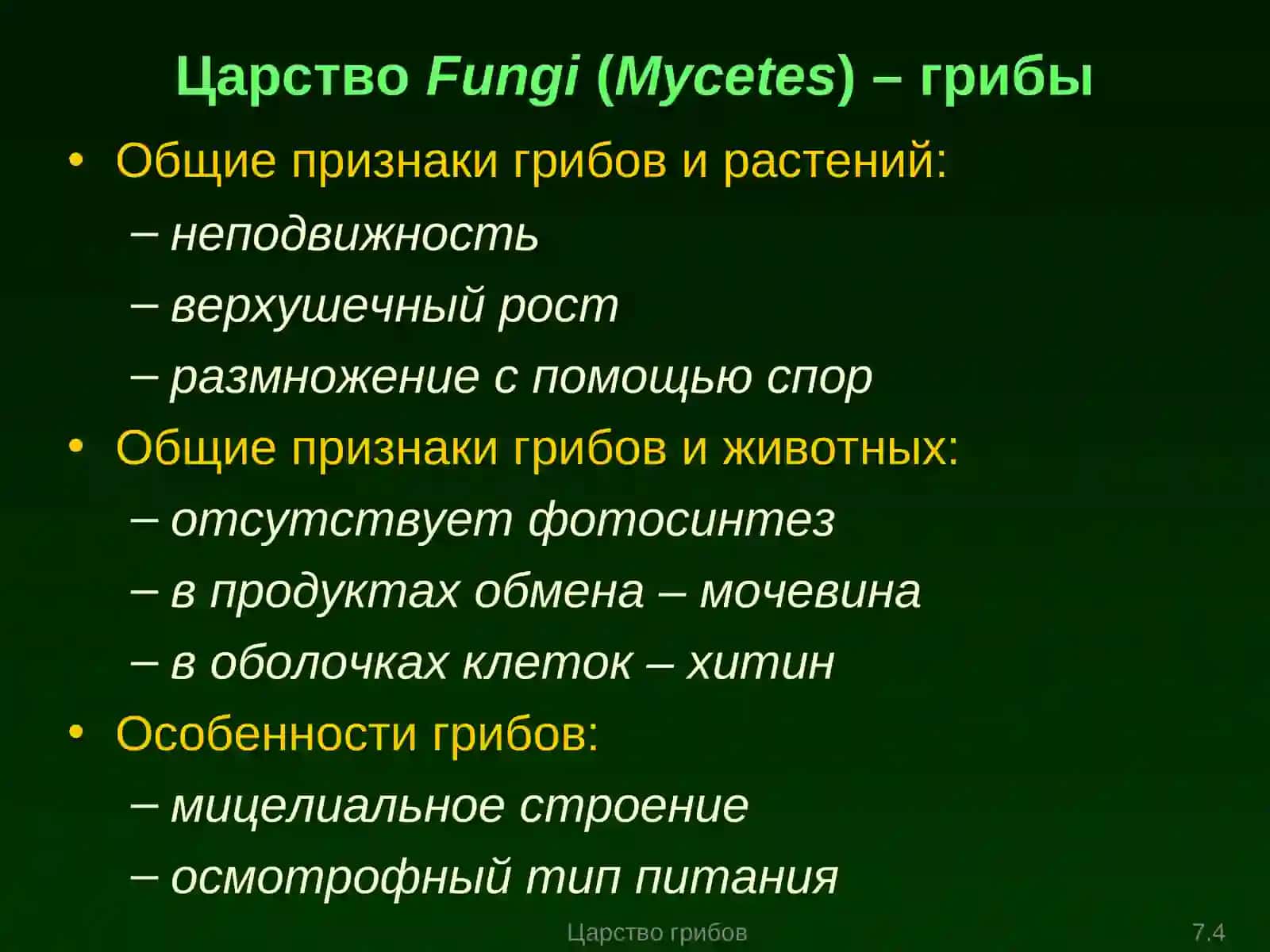 Морфология и физиология грибной клетки 2