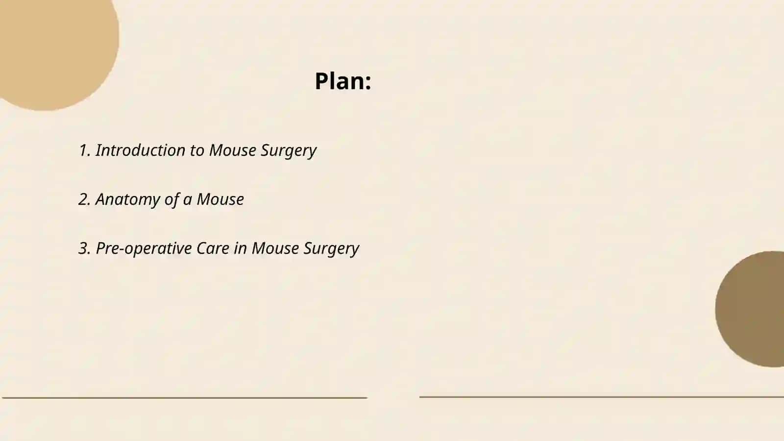 Mause surgery 2