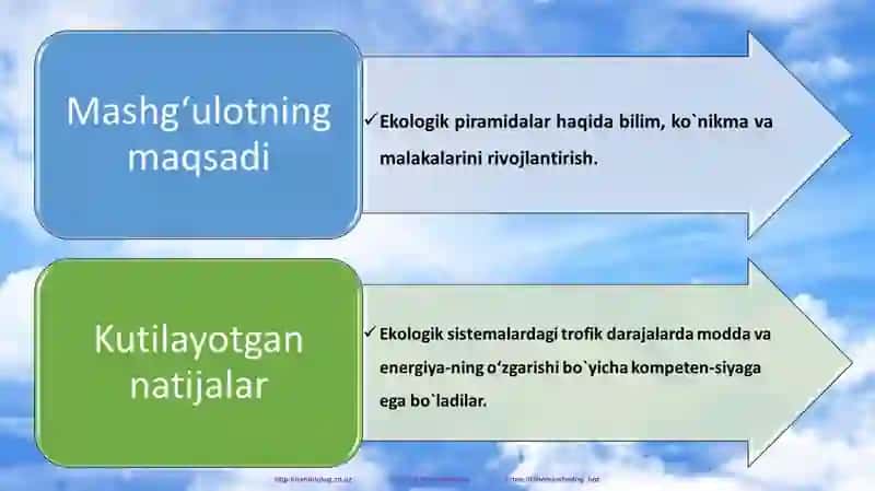 "Ekologik piramida qoidasi. Biomassa va energiya piramidasi" 2