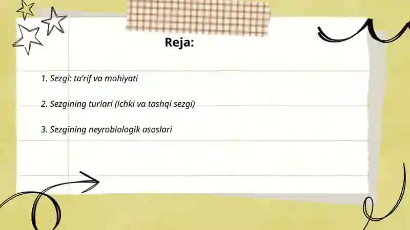 Sezgi 2