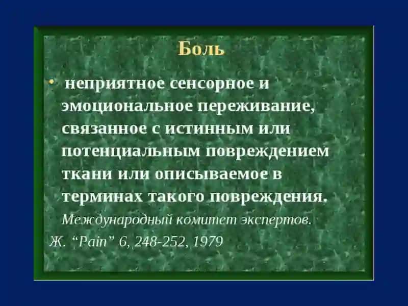 Физиология висцеральной анализаторной системы 2