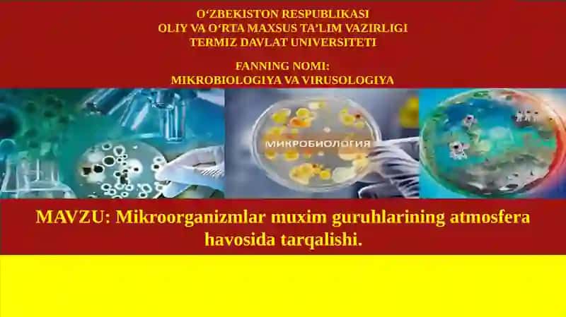 Mikroorganizmlar muxim guruhlarining atmosfera havosida tarqalishi 2