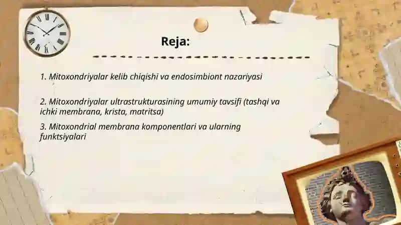 Mitoxondriyalar kelib chiqishi ultra tuzilishi, vazifasi va motoxondrial kasalliklar 2