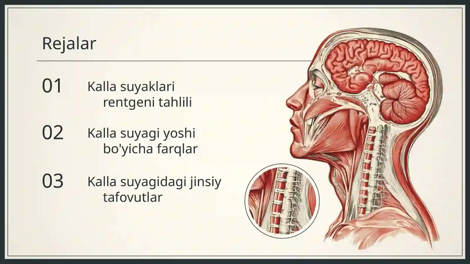 Kalla suyaklari rentgenatomiyasi 2
