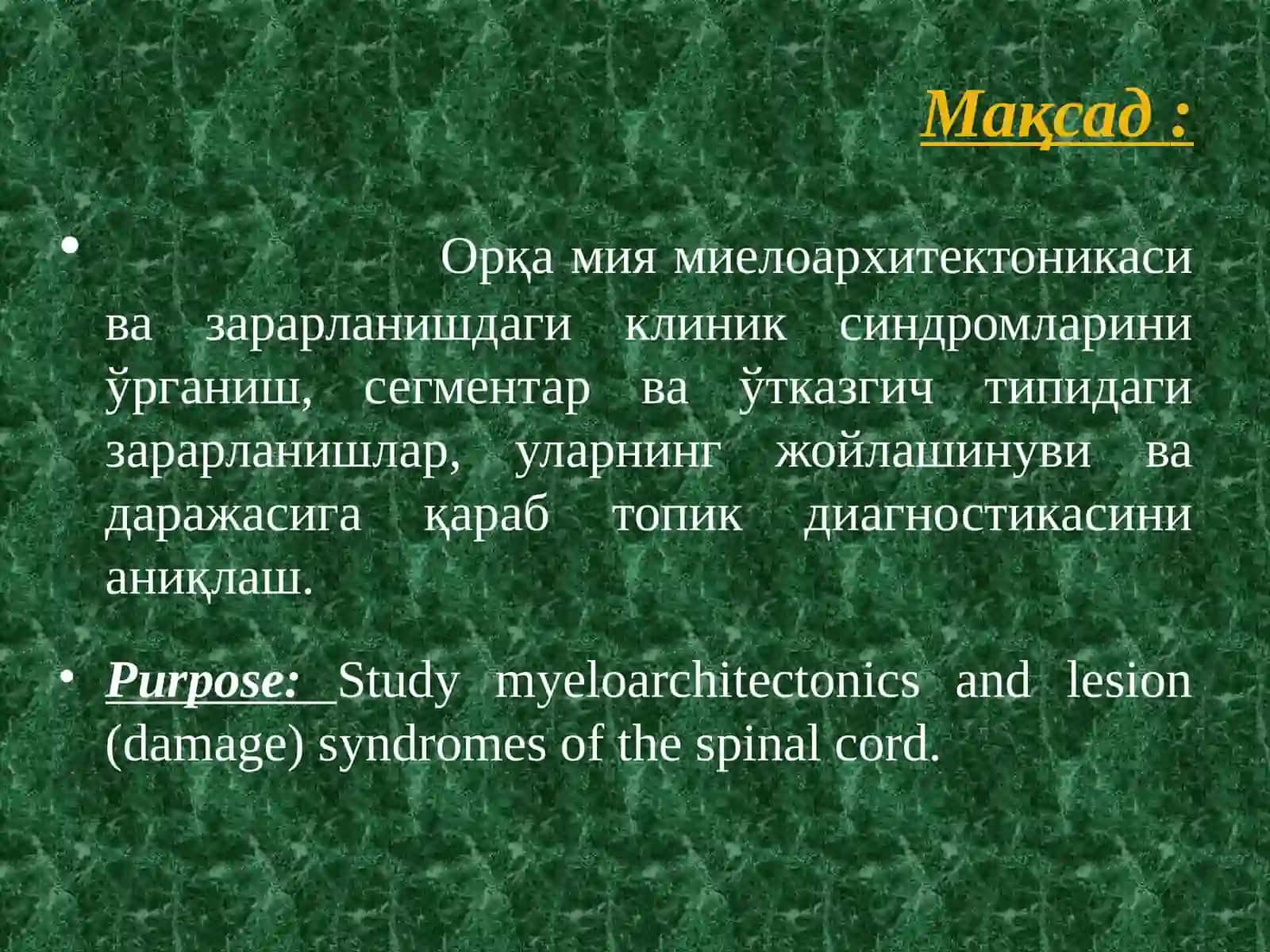 Orqa miyaning mileoarxitektonikasi 2