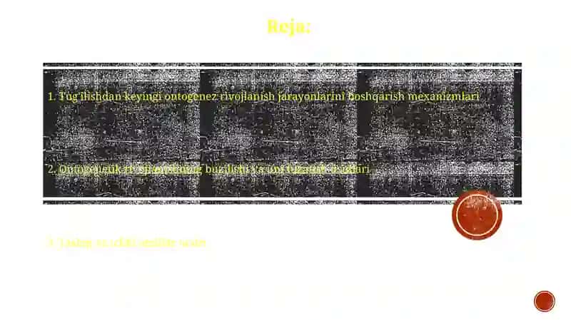 Postnatal ontogenezning rivojlanish jarayonlarining boshqarilishi 2