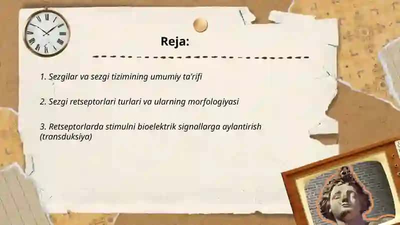 Sezgilar haqida umumiy tushuncha va uning nerv - fiziologik asoslari 2
