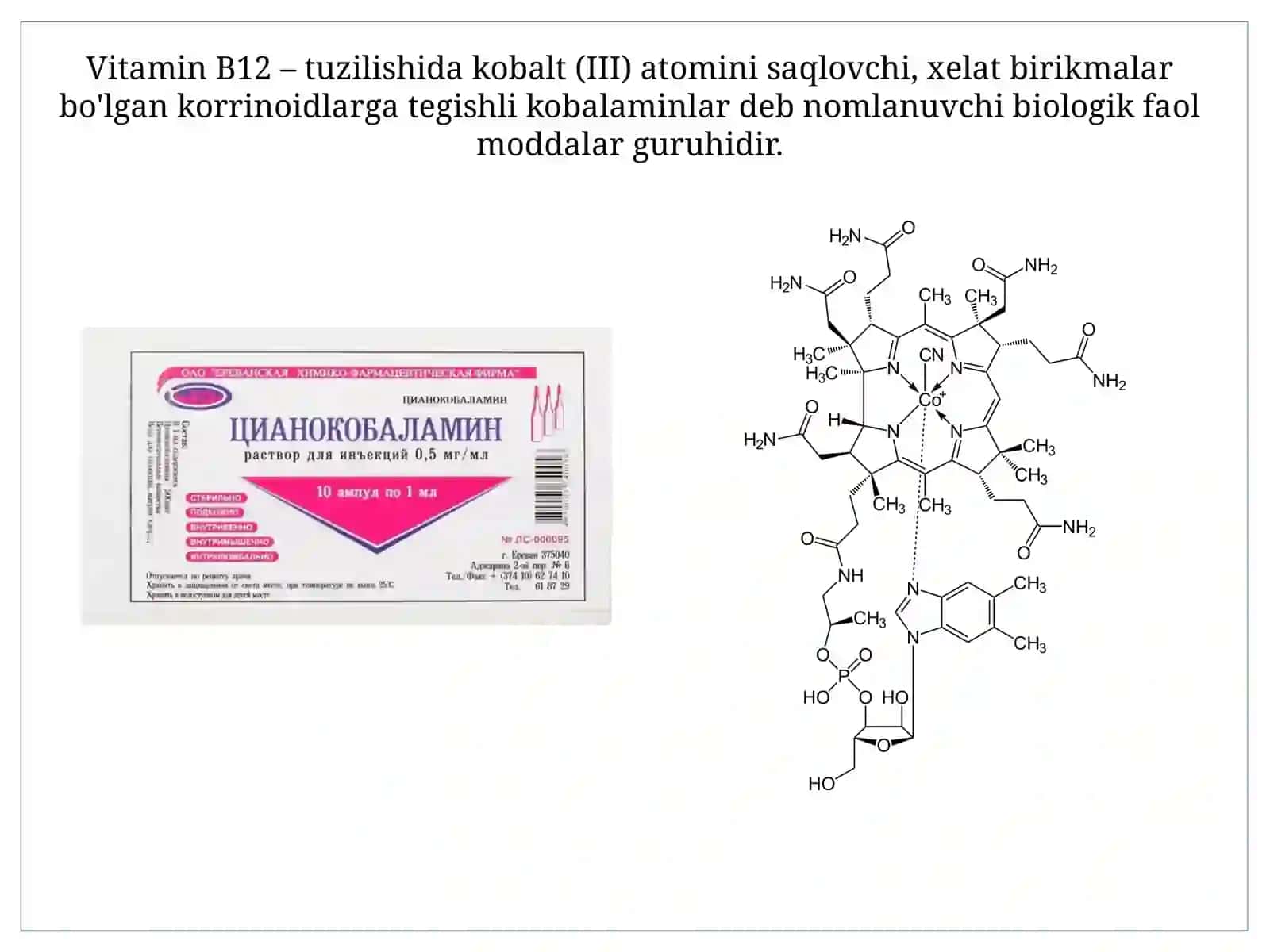 Biologiya - Vitamin B12 2