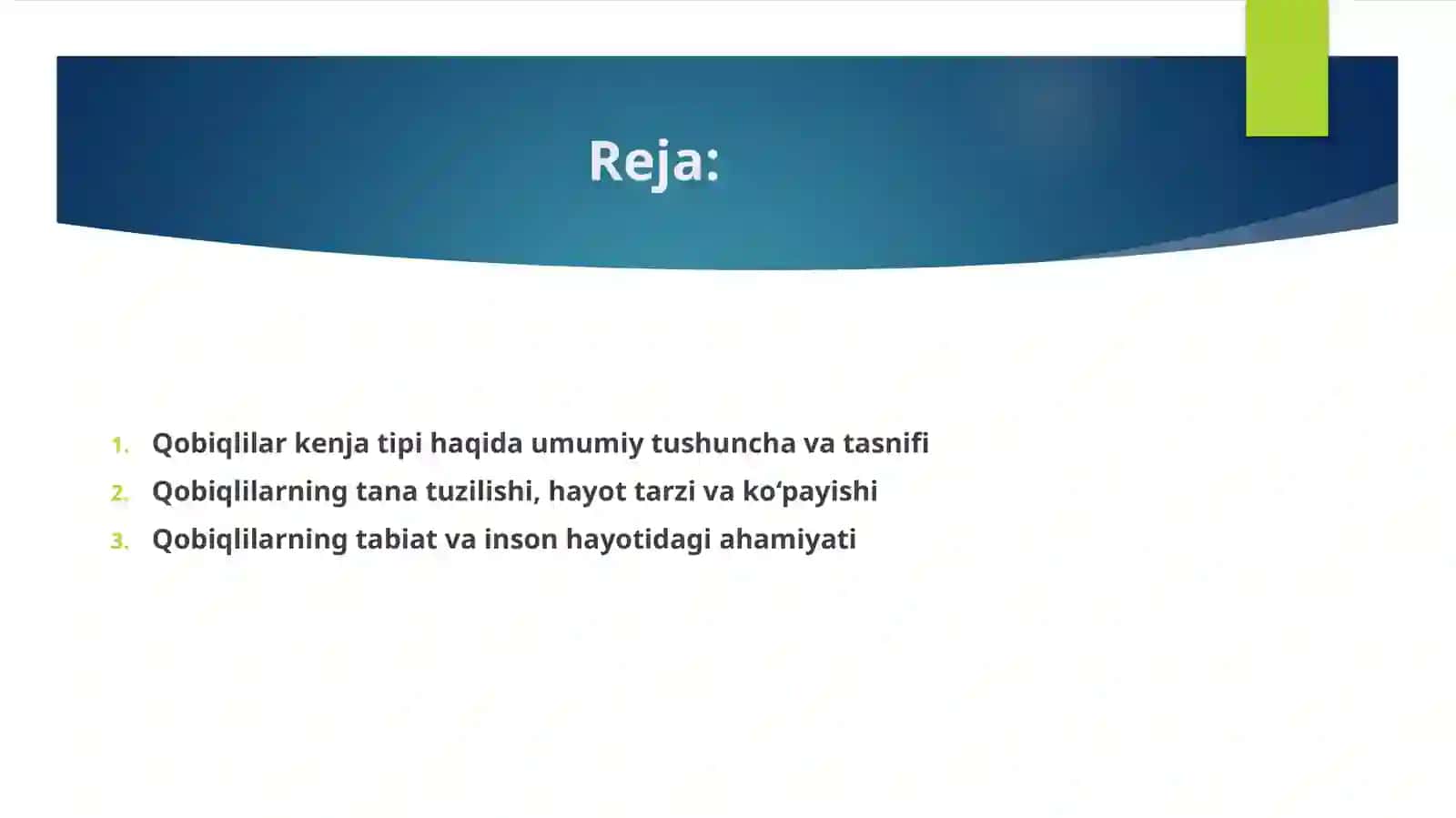 Qobiqlilar kenja tipi. 2