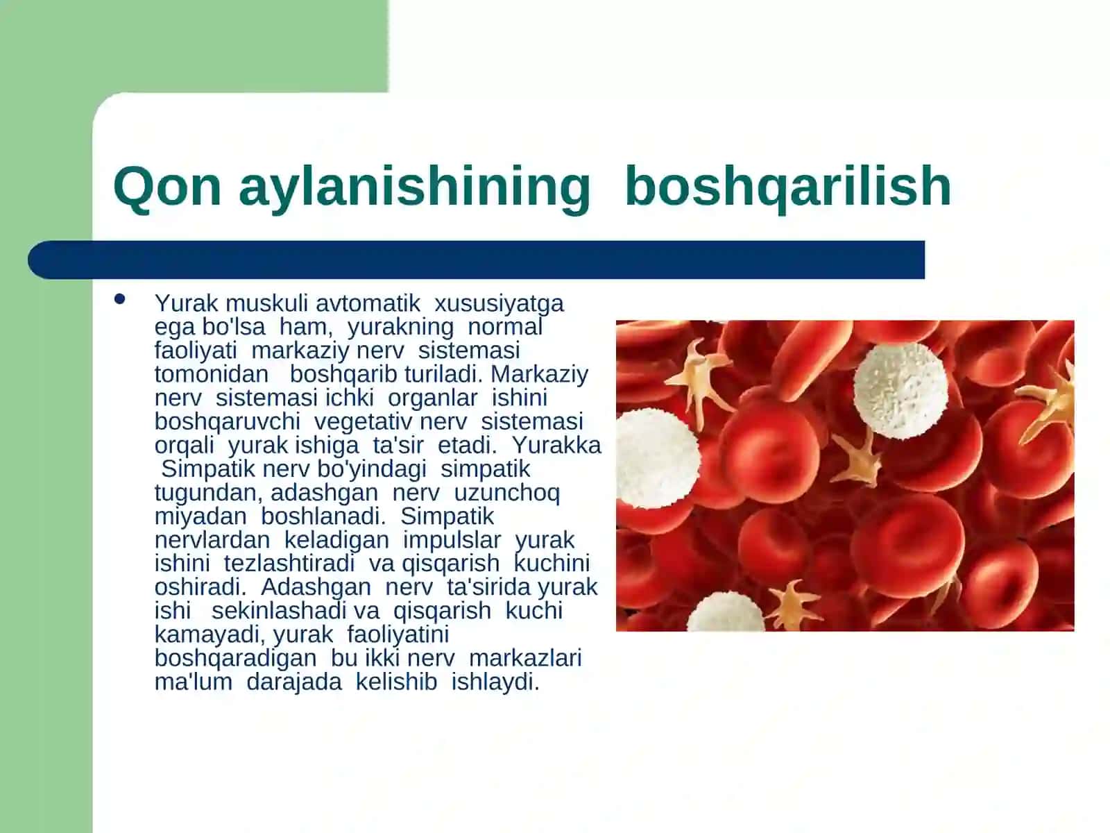 Qon aylanish tizimining yosh xususiyati va gigiyenasi 2