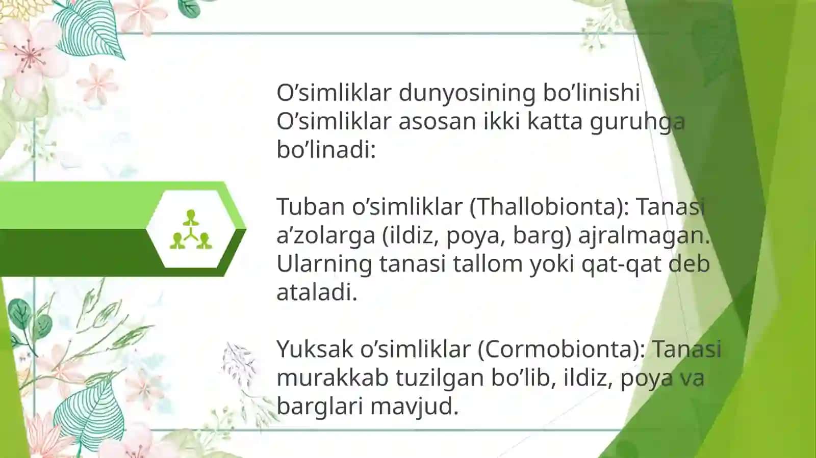 O’simliklar oliy tanasi va fiziologiyasi 2