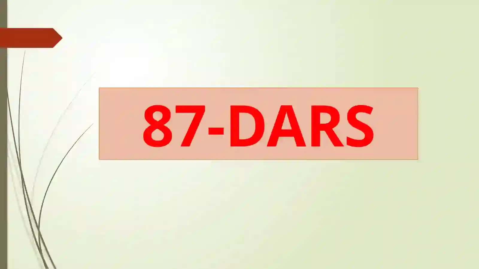 11-sinf O'zbek tili dars ishlanma. Omonim so'zlar. Muomala odobi. Mavzuga oid qadriyatlar 2