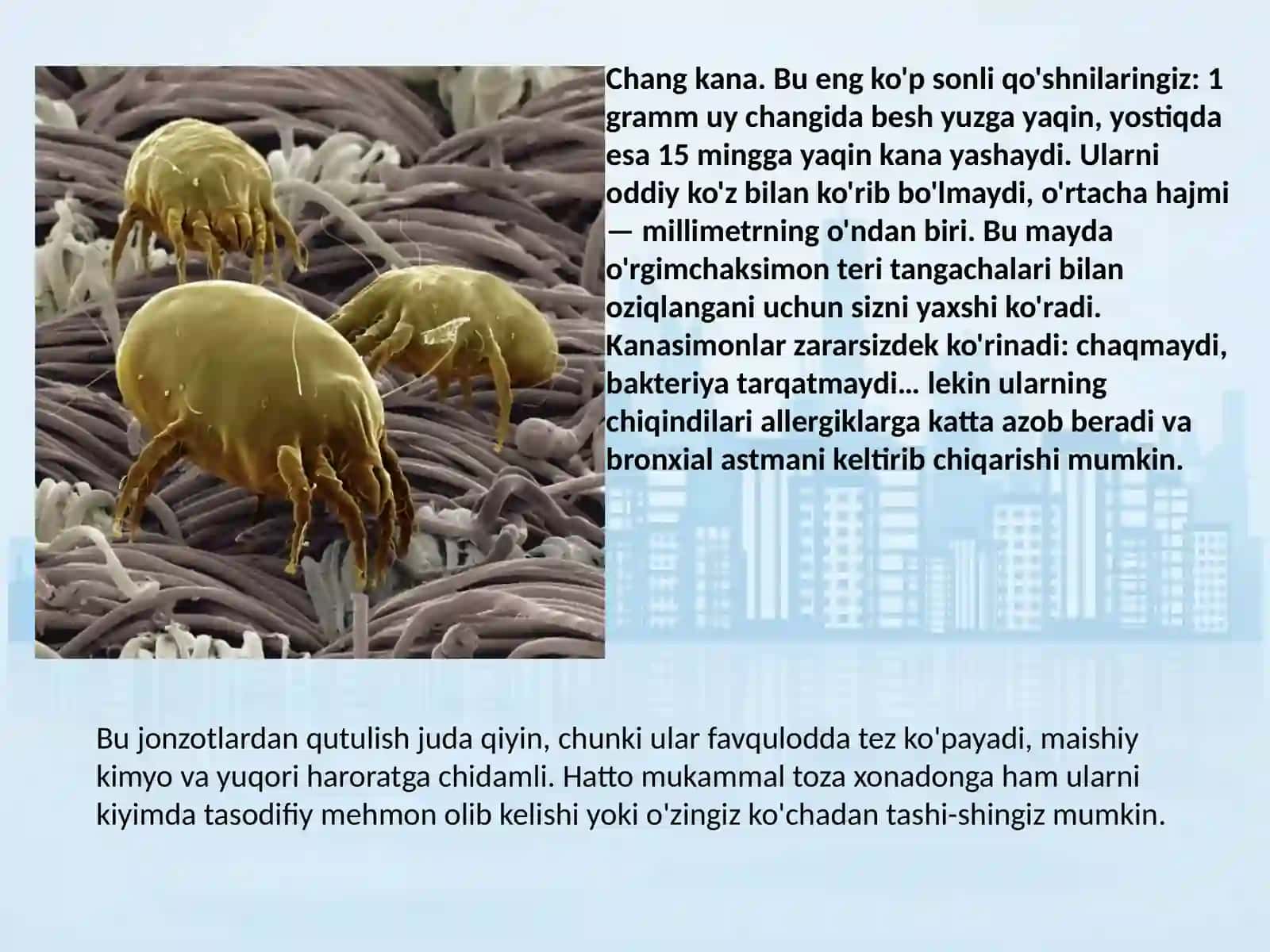 Biologiya - Sinantrop turlar 2