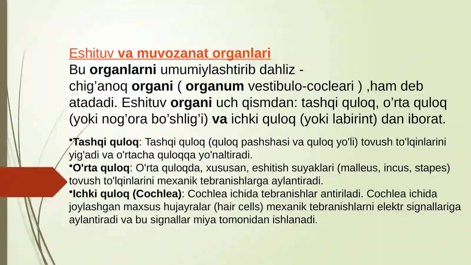 TOSHKENT TIBBIYOT AKADEMIYASI KAFEDRA: GISTALOGIYA VA TIBBIY BIOLOGIYA 2