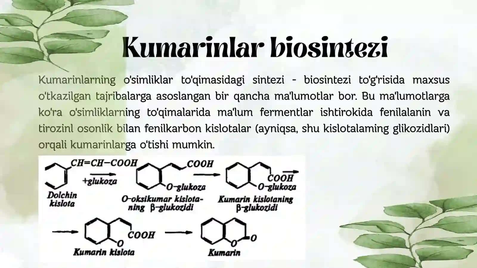 Kumarinlar BIOSINTEZI 2