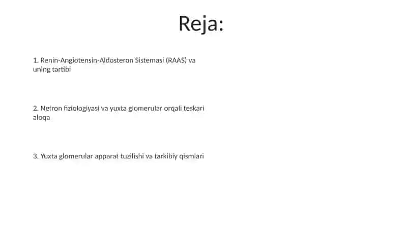 Yuxtaglomerulyar Apparat 2