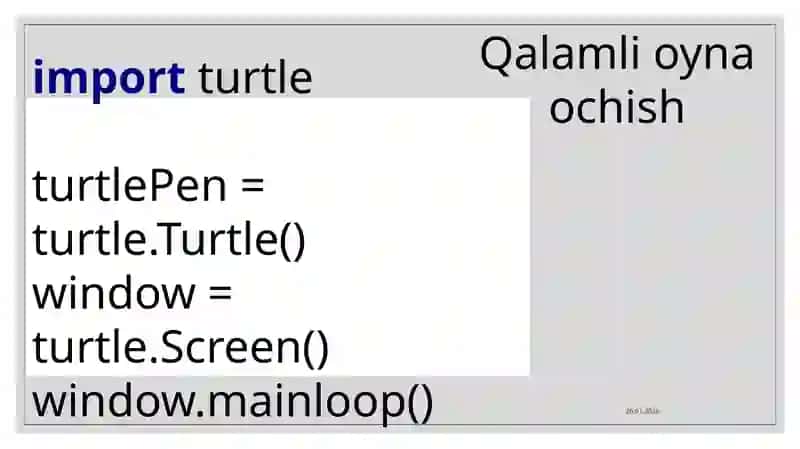 Turtlekutubxonasi 2