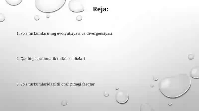 So'z turkumlarining evolyutsiyasi va divergensiyasi 2
