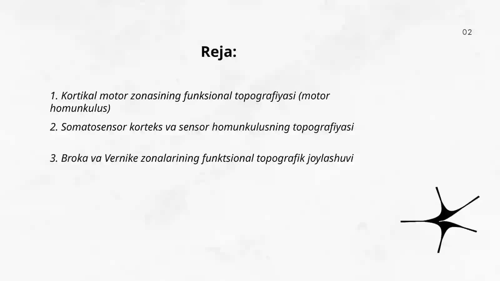 Miyaning funksional topografiyasi tushunchasi 2