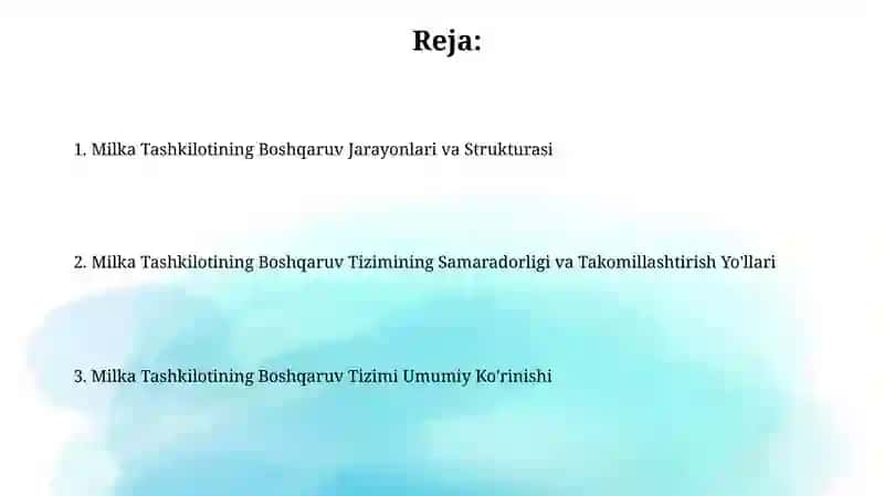 Milka Tashkilotining Boshqaruv Tizimi 2