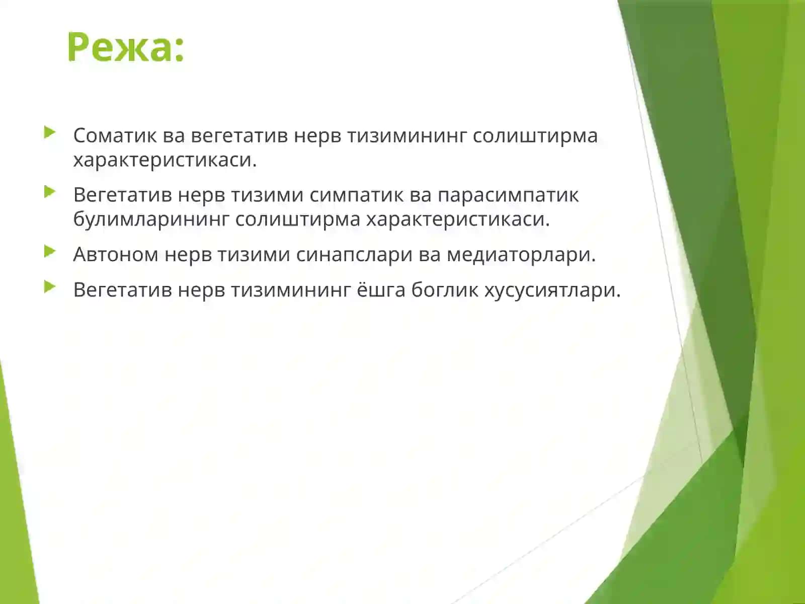Vegetativ nerv sistemasi 2