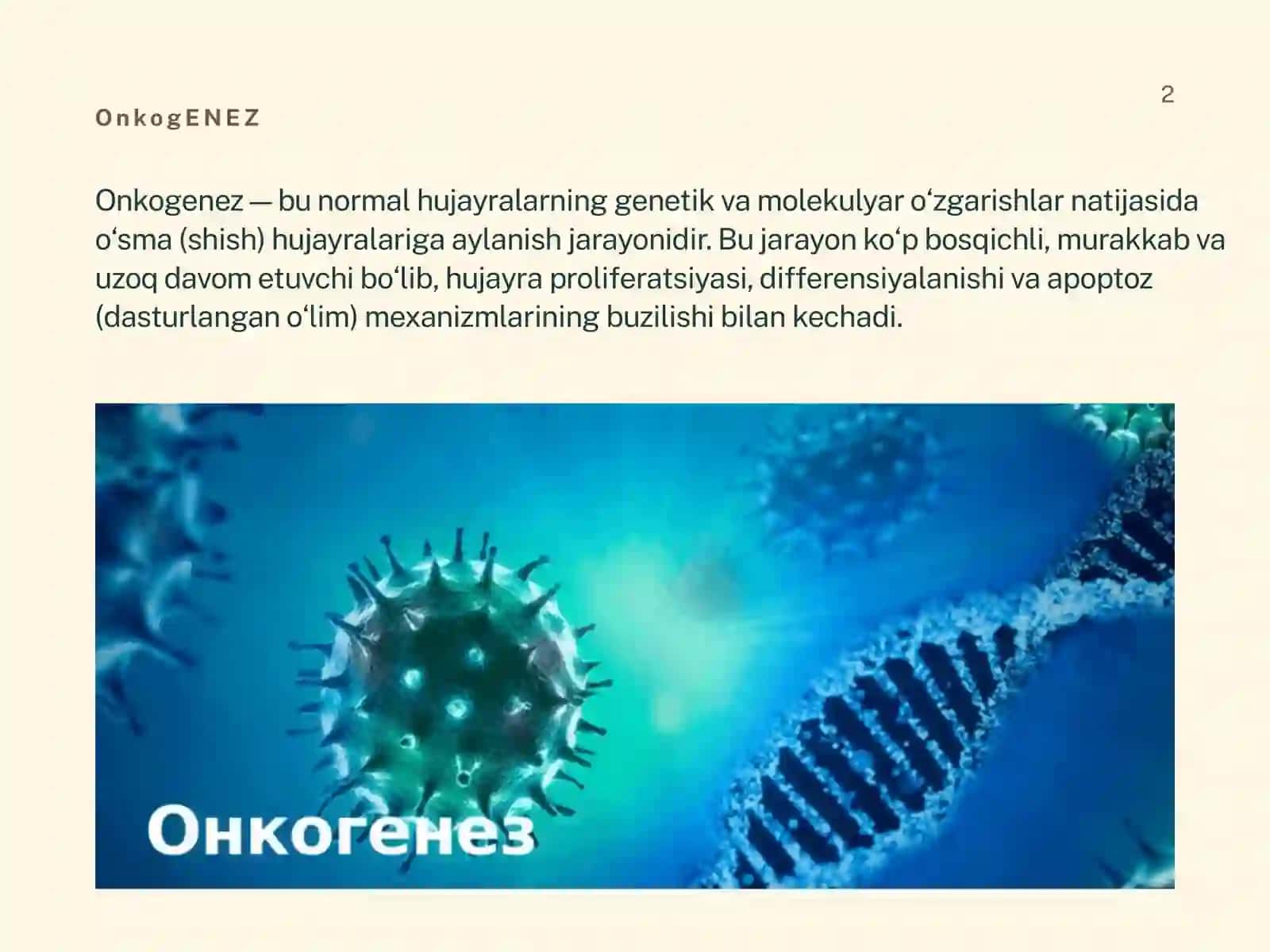 Onkogenez 2
