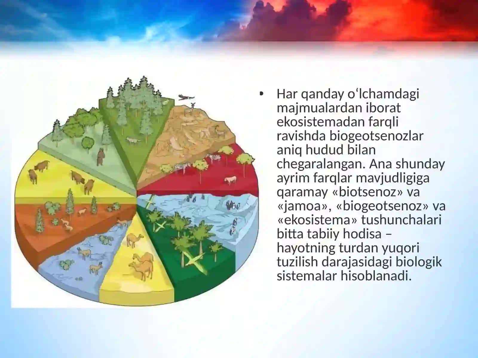 Ekosistemalarning tarkibiy qismlari 2