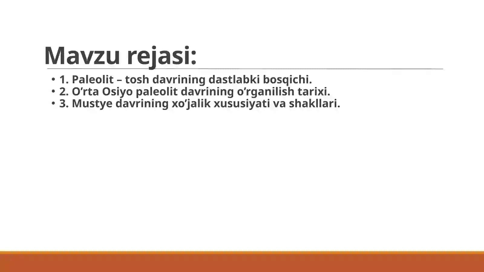 Paleolit davri 2