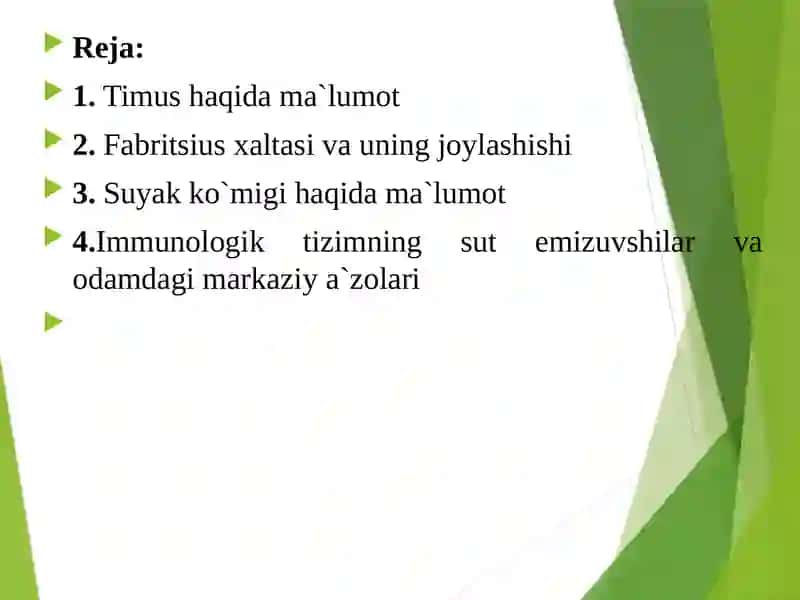 Immun tizimning markaziy a`zolari. 2