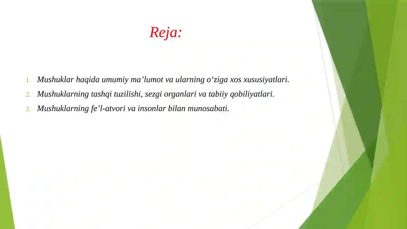 Mening sevimli jonvorim mushuk 2