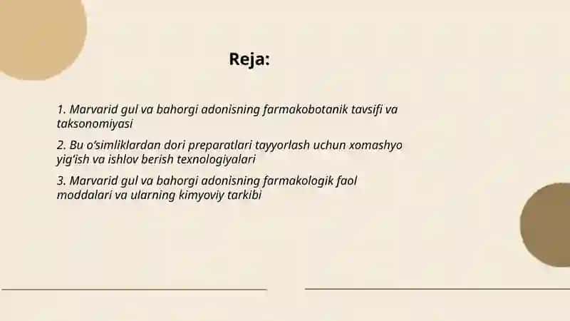 Marvarid gul va bahorgi adonis oʻsimlikni dorivor preparatlarini oʻrganish 2