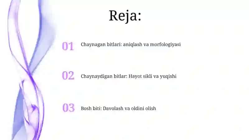 Chaynagan bitlari: aniqlash va morfologiyasi 2