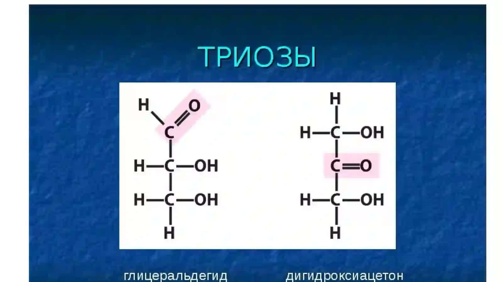 УГЛЕВОДЛАР 2