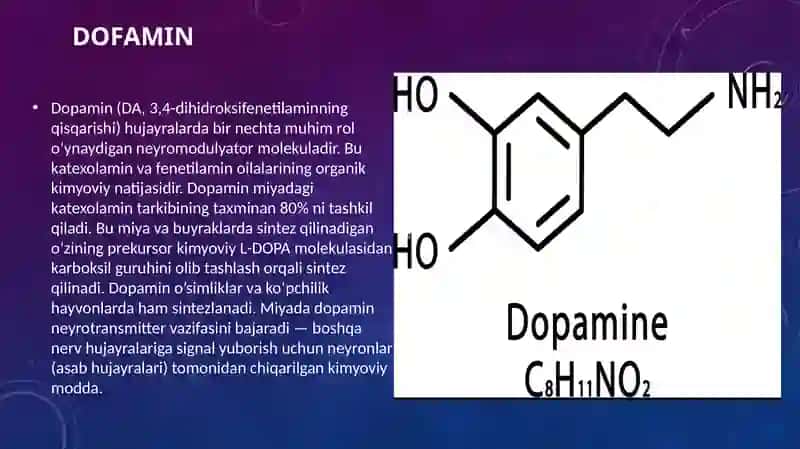 Dopamin 2
