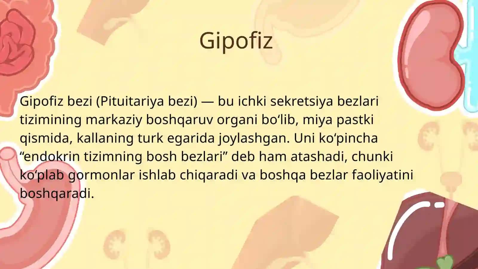 Gipofiz va epifiz 2