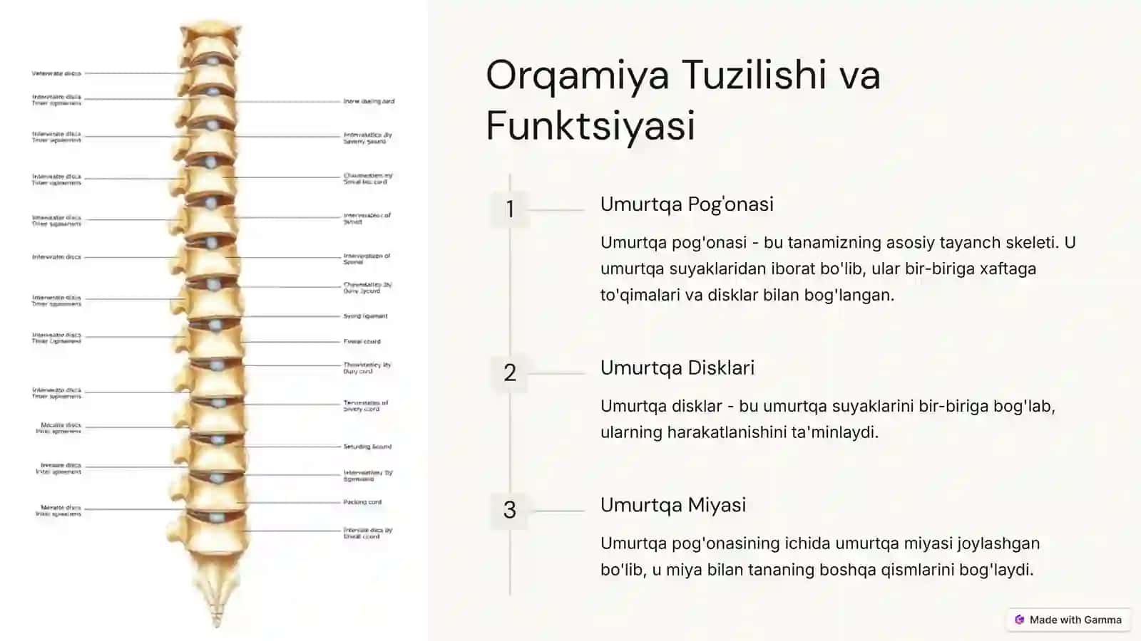 Orqamiya Degenerativ va Distrofik Kasalliklar 2