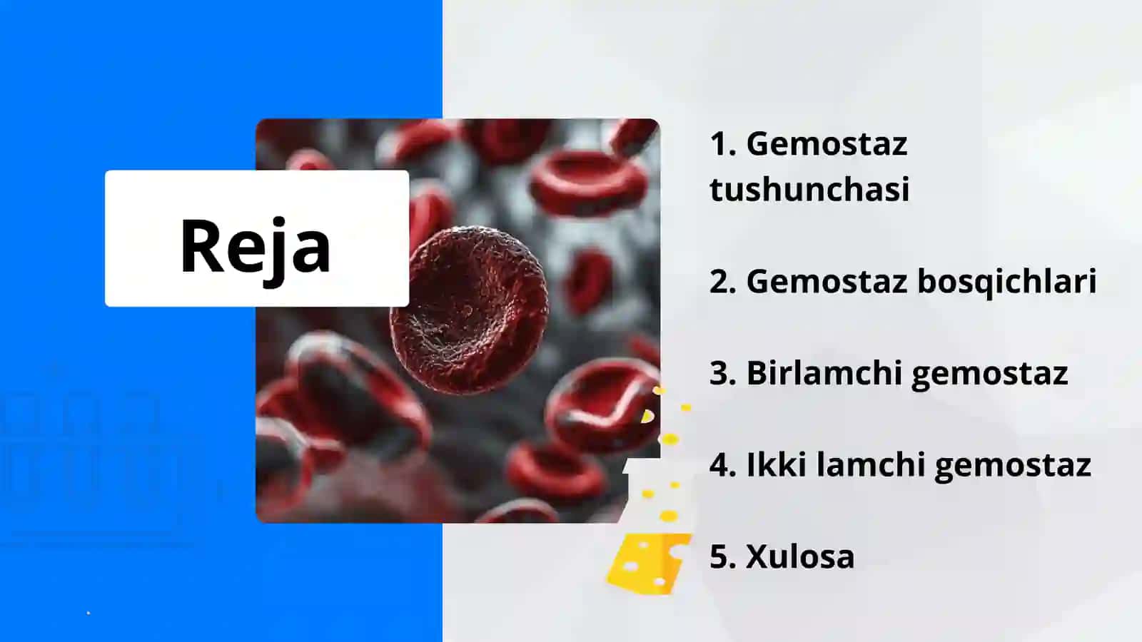 Gemostaz va uning turlari 2