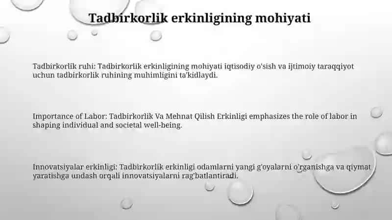 Tadbirkorlik Va Mehnat Qilish Erkinligi 2