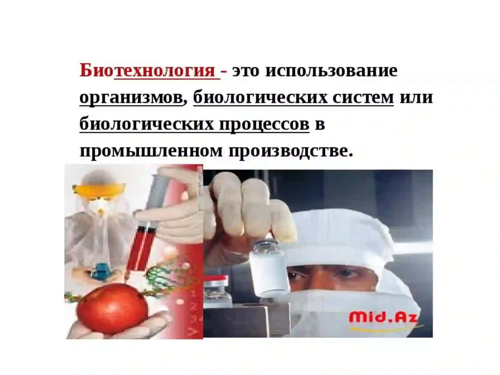 Қишлоқ хўжалик экинларини соғломлаштиришнинг биотехнологик асослари 2
