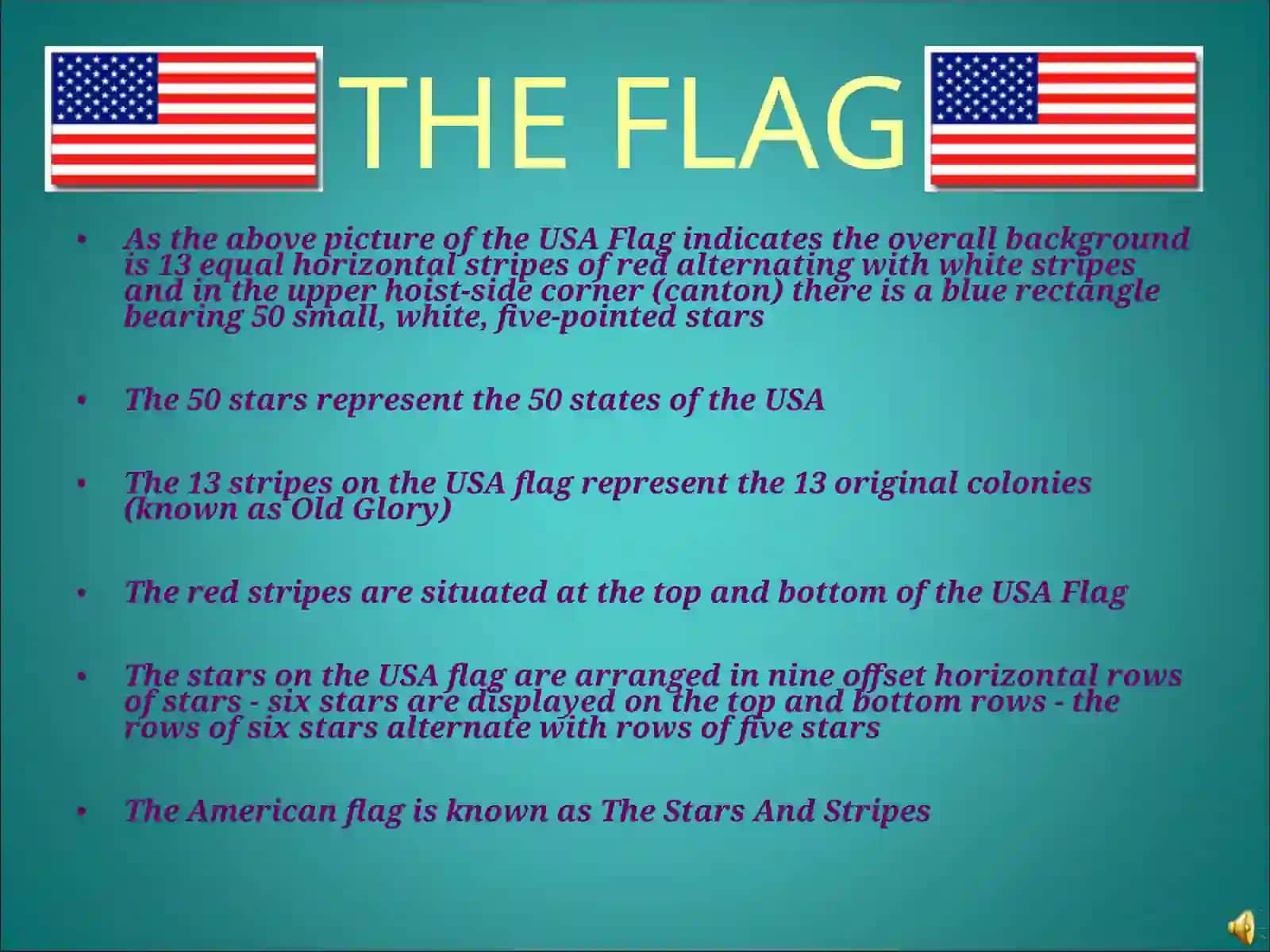 THE FLAG 2