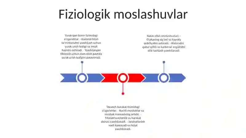Turli Masofalarga Yugurish Bilan Bog‘Liq Bo‘Lgan Ruhiy Holatlar 2
