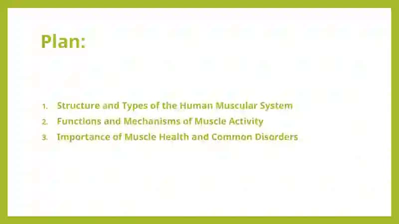 Muscular System of a Human Being 2