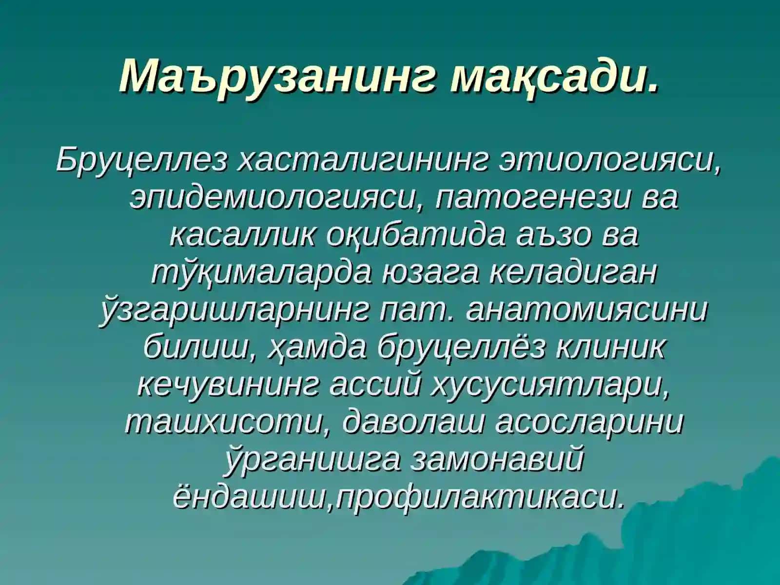 БРУЦЕЛЛЕЗ 2