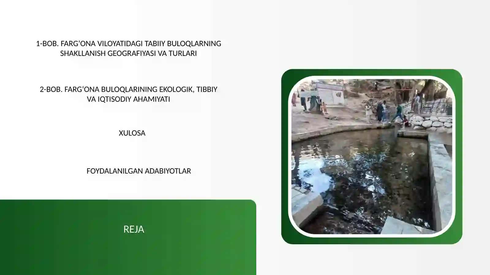 FARG‘ONA VILOYATIDAGI TABIIY BULOQLARNING SHAKLLANISH GEOGRAFIYASI VA TURLARI 2